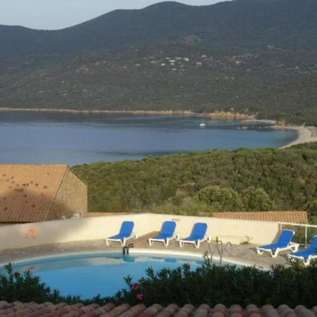 New Superbe F2 Refait A Neuf Tout Confort Dans Residence Avec Piscine Serra-di-Ferro (Corsica) Extérieur photo