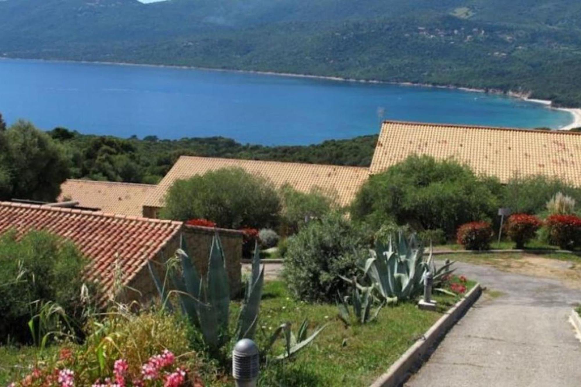 New Superbe F2 Refait A Neuf Tout Confort Dans Residence Avec Piscine Serra-di-Ferro (Corsica) Extérieur photo