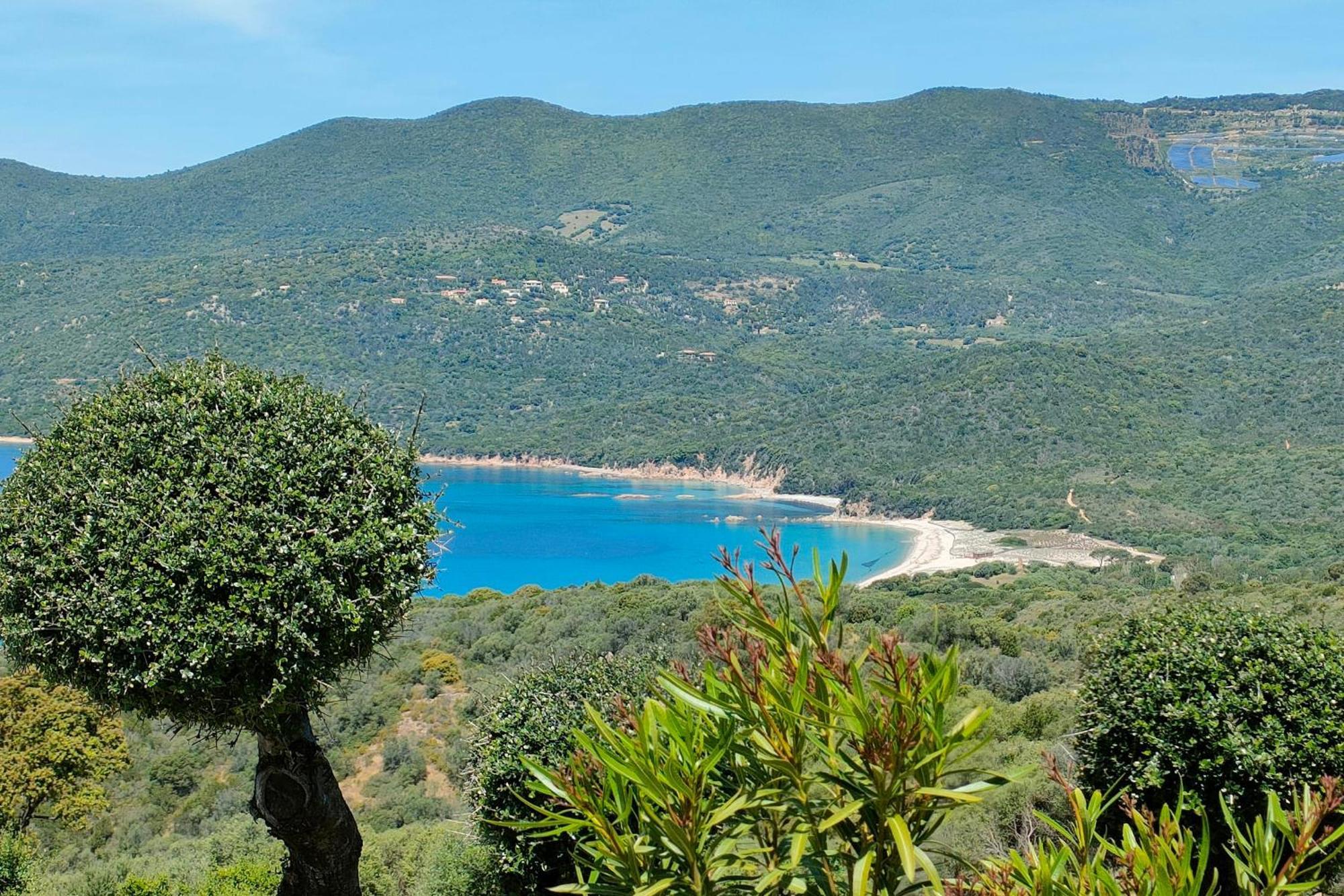New Superbe F2 Refait A Neuf Tout Confort Dans Residence Avec Piscine Serra-di-Ferro (Corsica) Extérieur photo